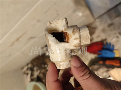 西流河镇自来水管道漏水检测