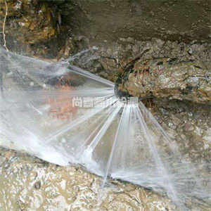 西流河镇消防管道漏水检测